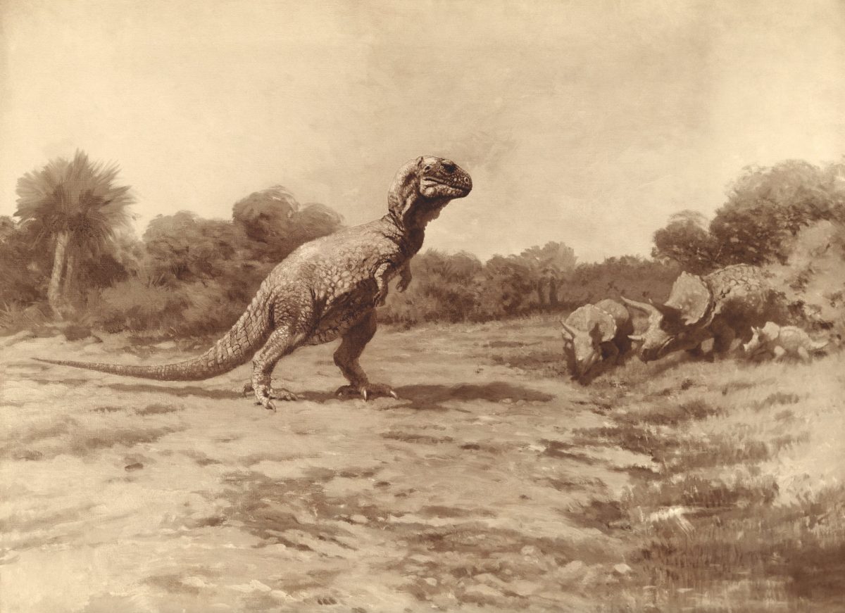 วิวัฒนาการไดโนเสาร์, ไดโนเสาร์, อัลเบอร์โตซอรัส