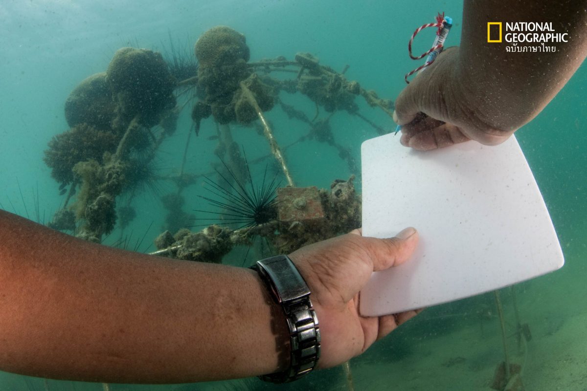 มือผู้ชายกำลังเขียน อยู่ใต้น้ำทะเล