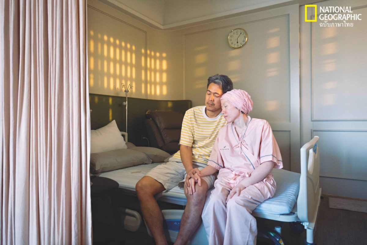 palliative care, การดูแลแบบประคับประคอง