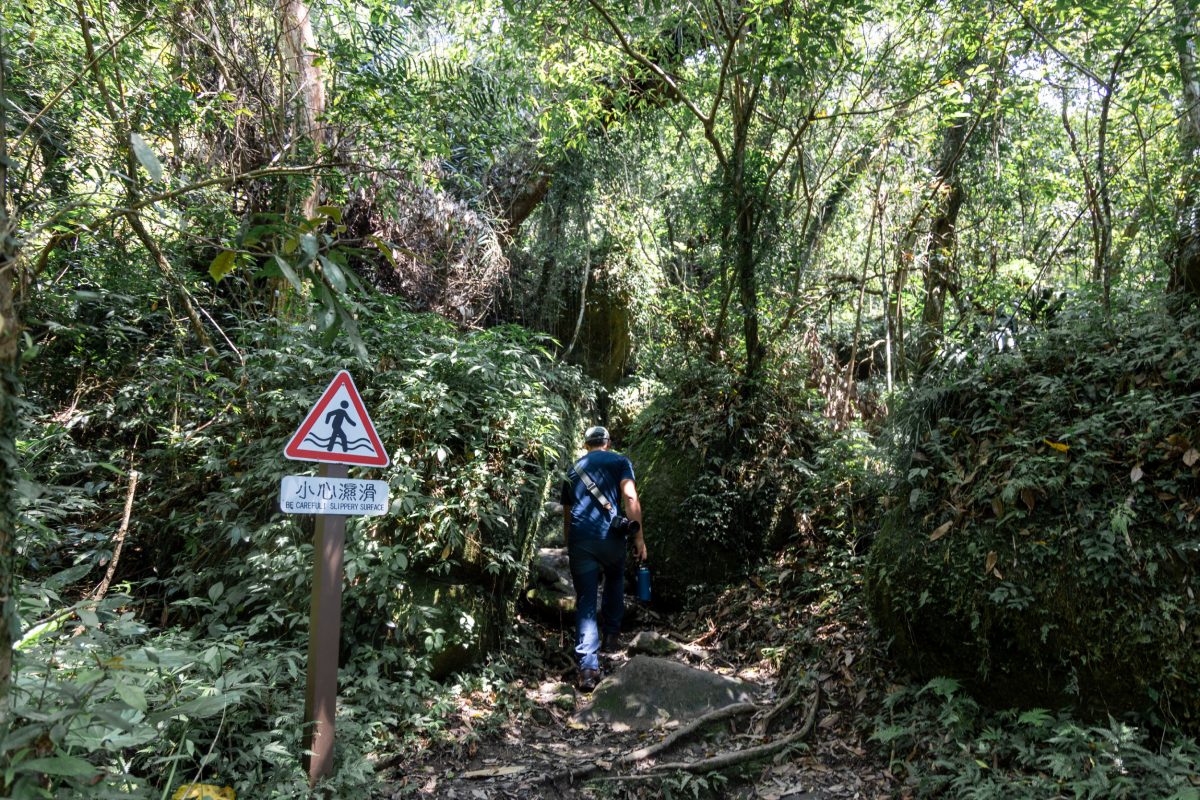Hiking in the forest