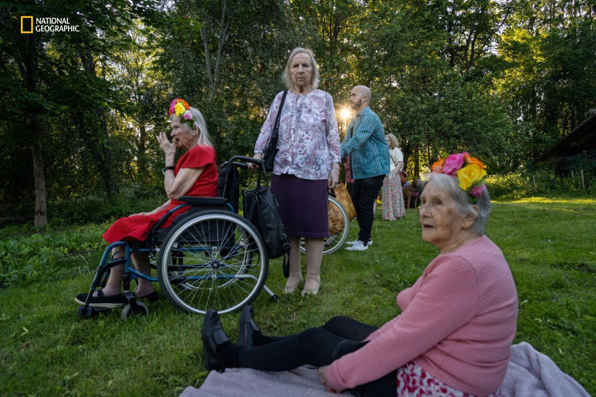 สมองเสื่อม, อัลไซเมอร์