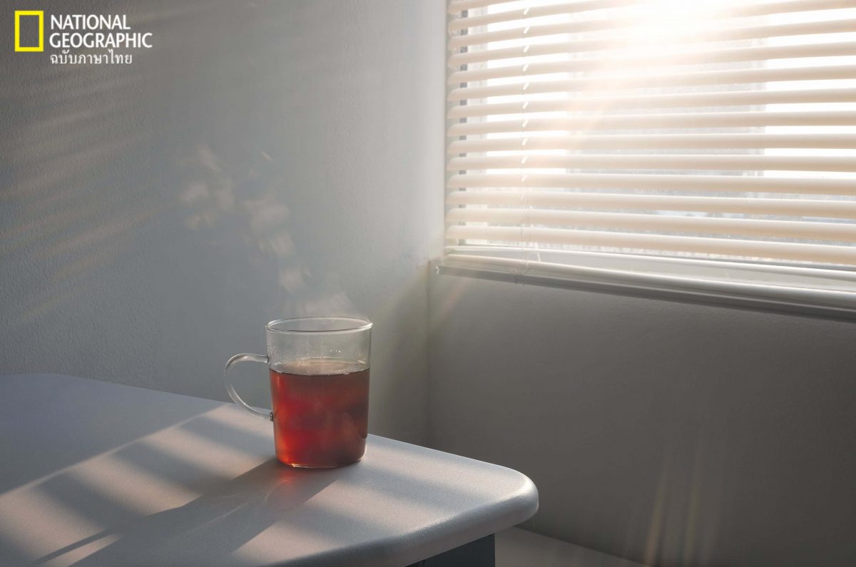 palliative care, การดูแลแบบประคับประคอง