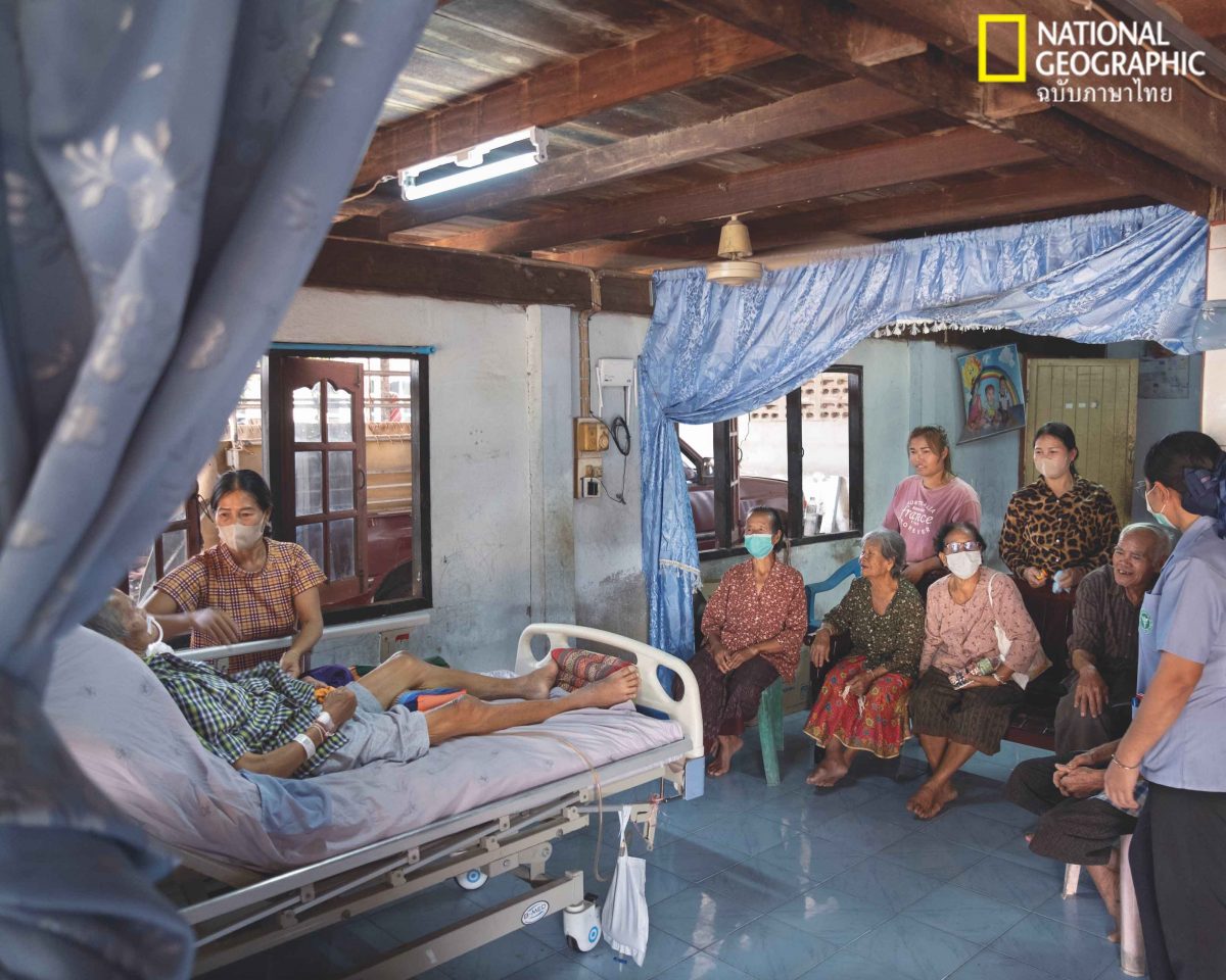 palliative care, การดูแลแบบประคับประคอง