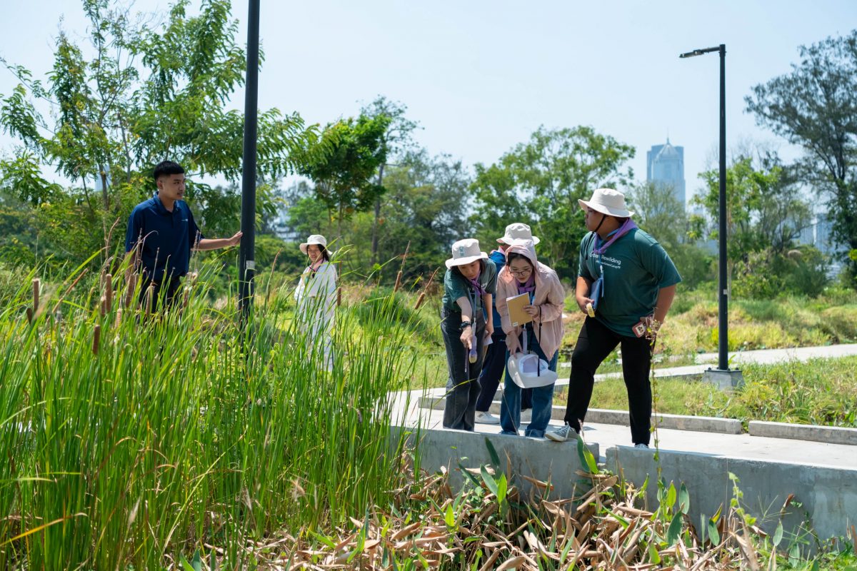 a group of asian young people are observing the nature in the public park