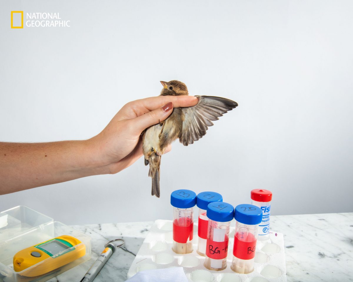 ความเครียด