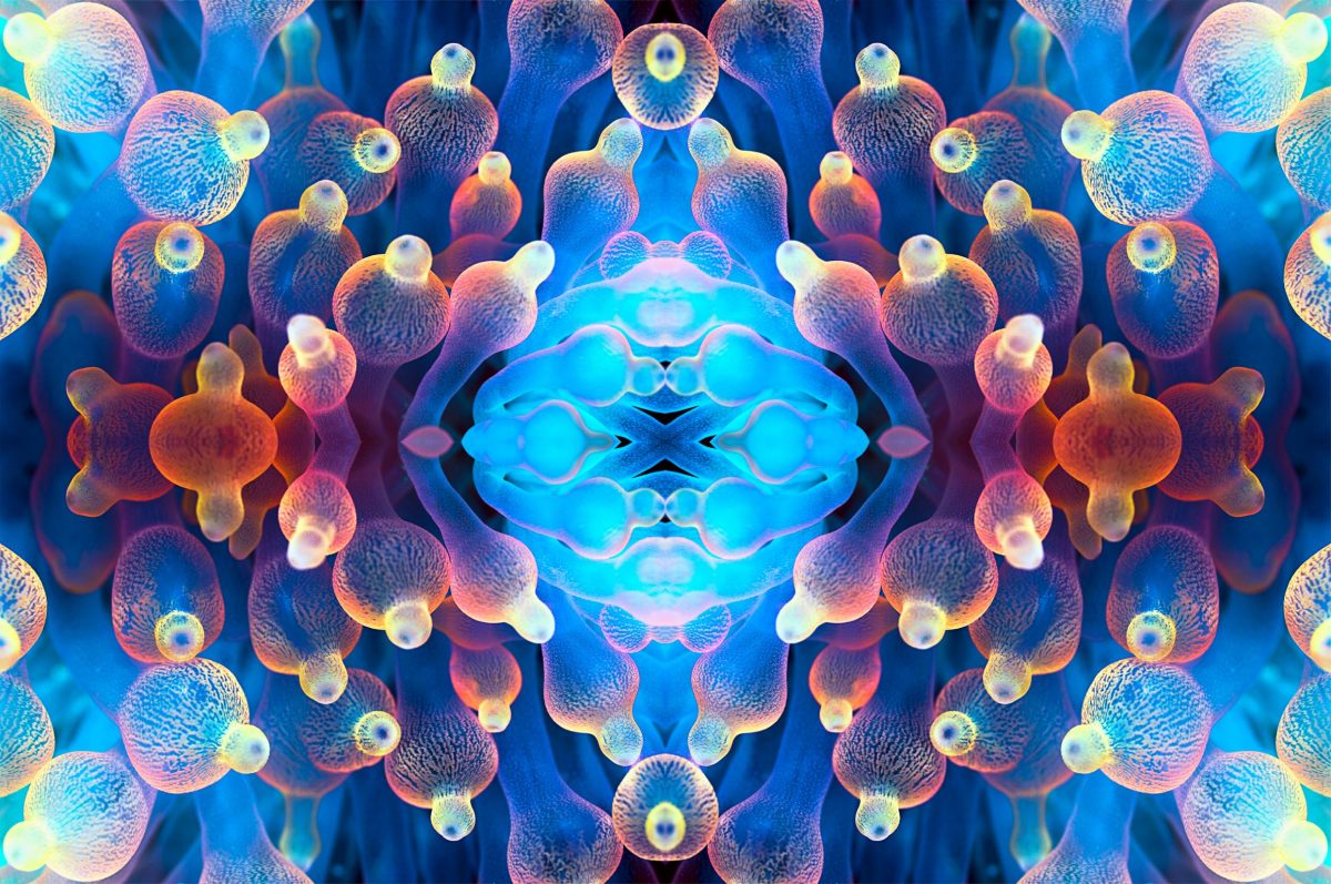 ภาพปะการัง