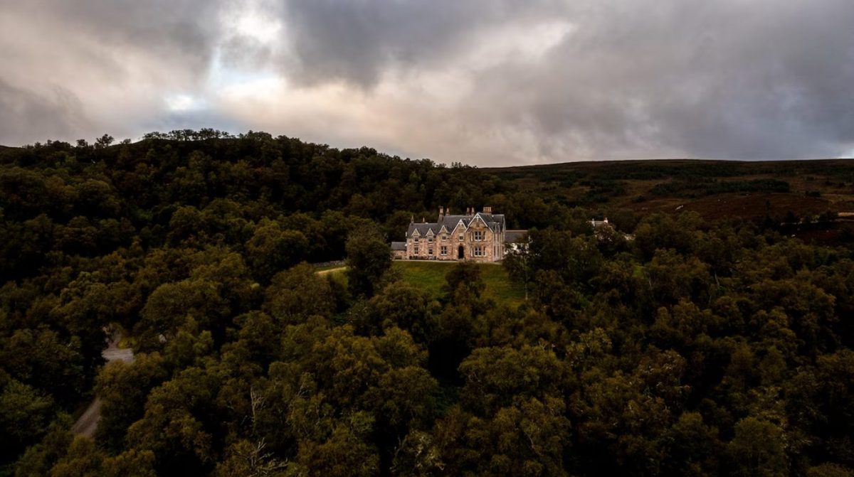 ฟื้นคืนป่า, สกอตแลนด์