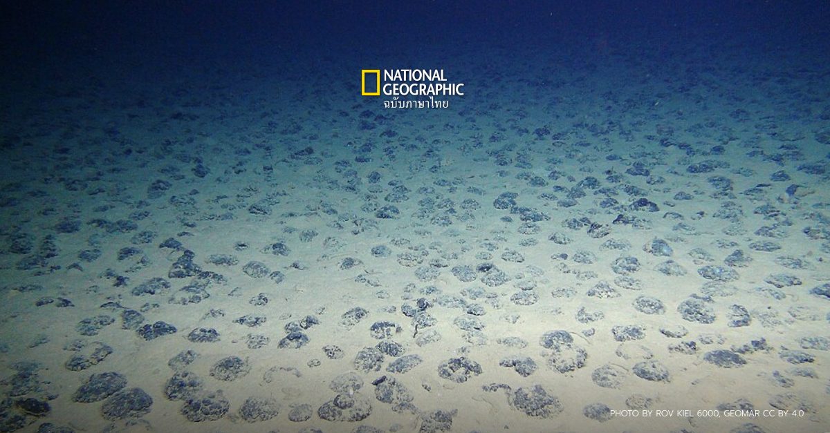 พบ “ออกซิเจนมืด” ใต้ทะเลลึก 4 กม. ท้าทายทฤษฎีกำเนิดชีวิต