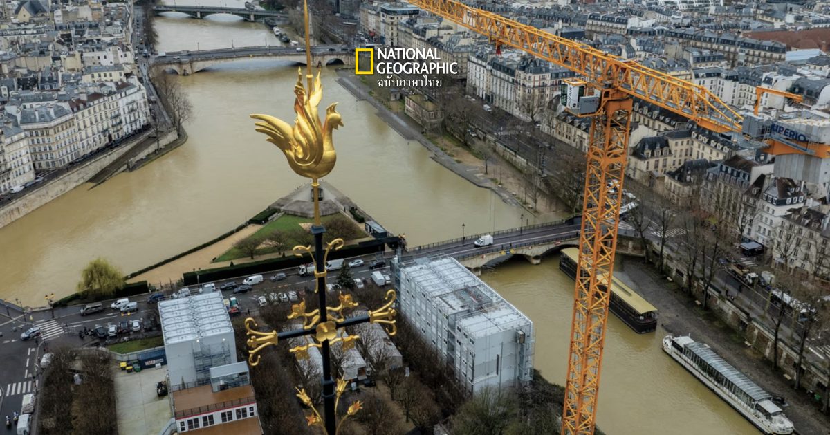 ปารีสทุ่มงบมหาศาลบำบัดแม่น้ำแซน ไม่เพียงเพื่อโอลิมปิก 2024 แต่คืนชีวิตและลมหายใจแก่แม่น้ำอันเป็นที่รัก