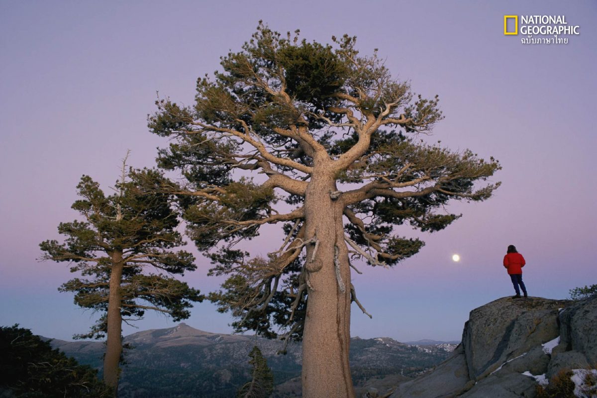 A hiker watches the full moon rise at Carson Pass in California