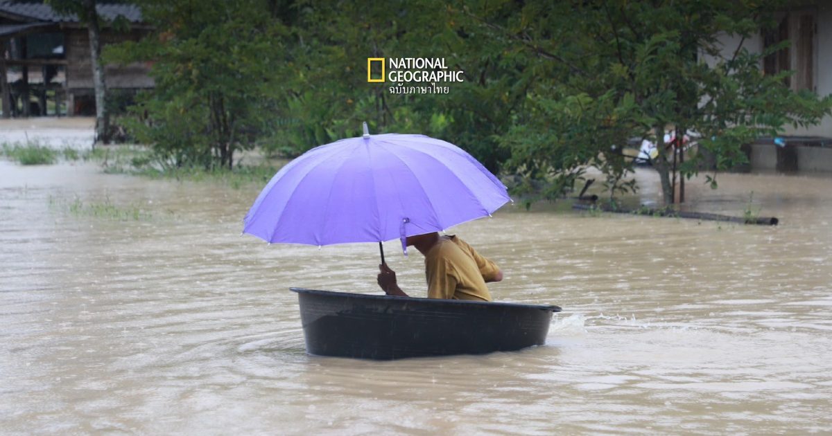 น้ำท่วมภาคใต้ถึง COP29  ผลกระทบจากโลกร้อนและความเปราะบางทางสิ่งแวดล้อม