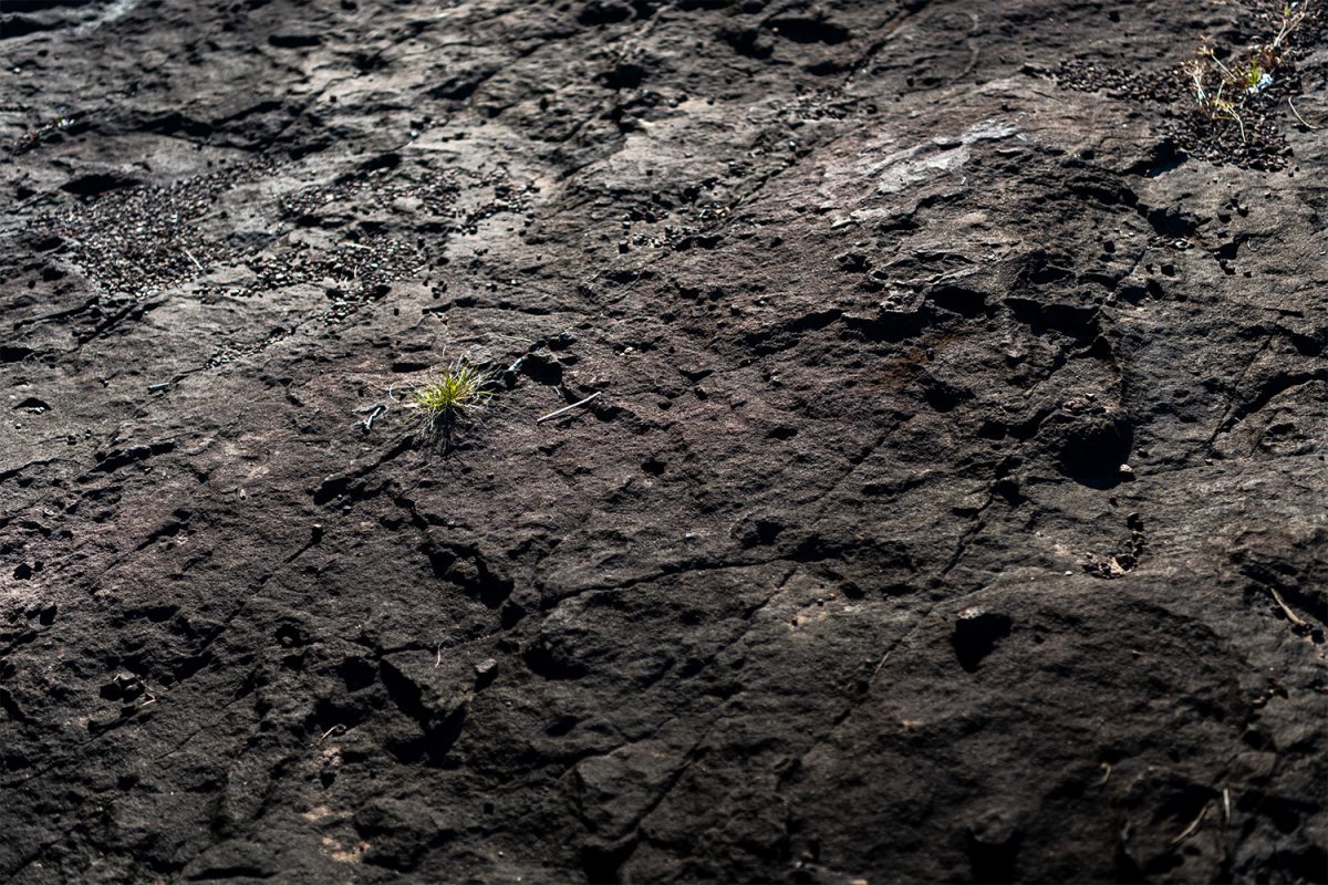 ผาหัวนาค