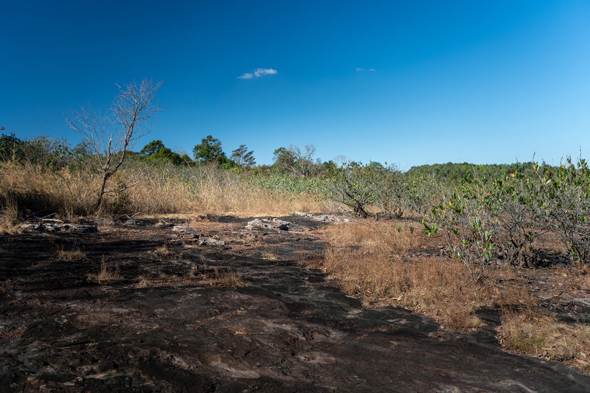 ผาหัวนาค