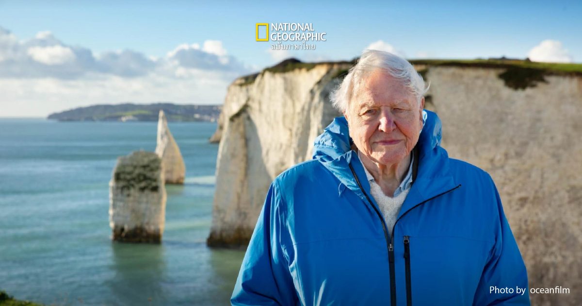 มหาสมุทรจะฟื้นตัว ความหวังของ Sir David Attenborough นักทำสารคดีวัย 99 ปี ชายผู้หลงรักโลกใต้ทะเล