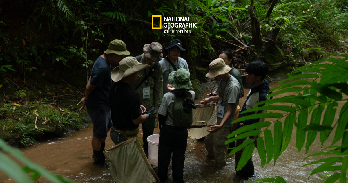 ชีวะตะลุมบอน: เมื่อธรรมชาติบ่งบอกความสมบูรณ์ของป่า
