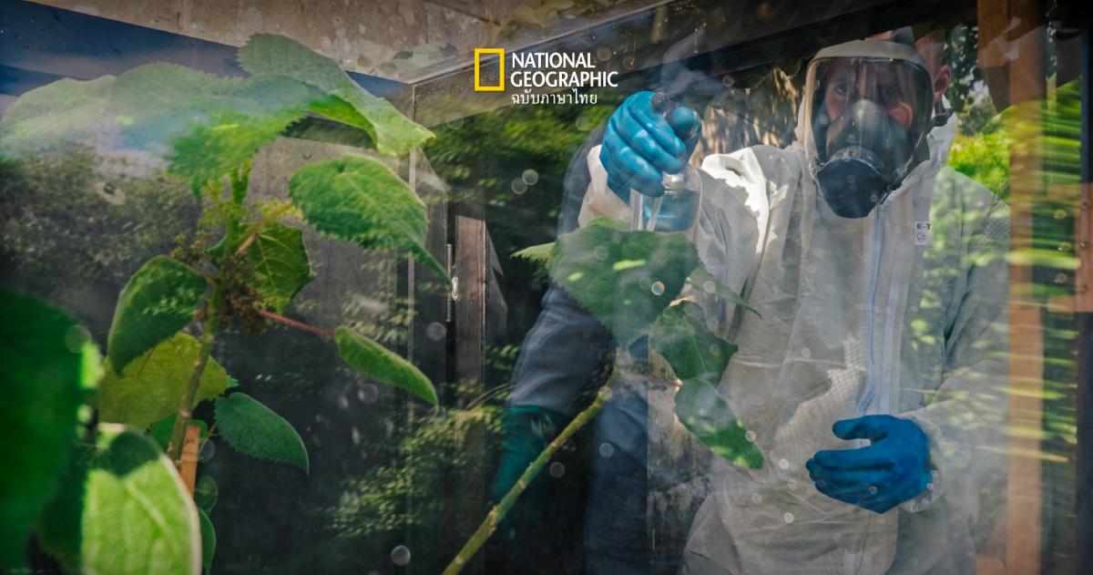 งานในสวนที่อันตรายที่สุดในโลก