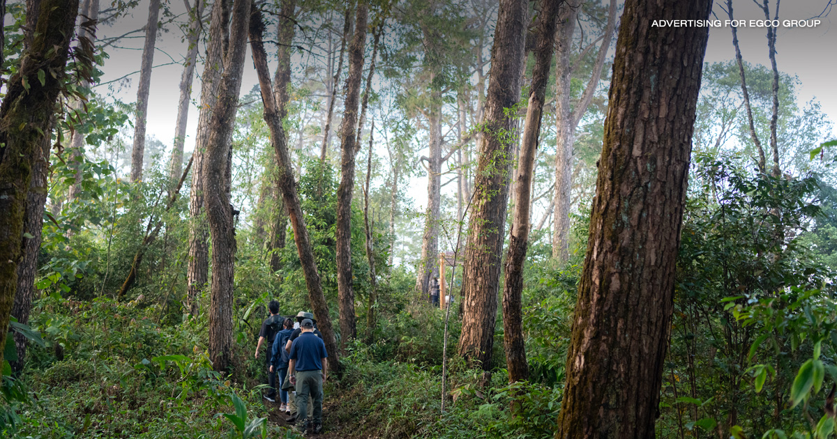 เส้นทางศึกษาธรรมชาติยอดดอยปุย ป่าหลังบ้านเมืองเชียงใหม่ แหล่งเรียนรู้นิเวศประวัติศาสตร์ที่เข้าถึงง่ายและกลมกลืนกับธรรมชาติ