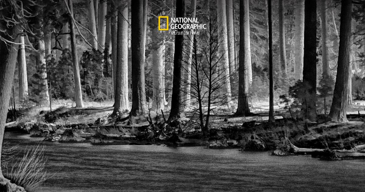 วิธีบันทึกภาพพายุเพลิง