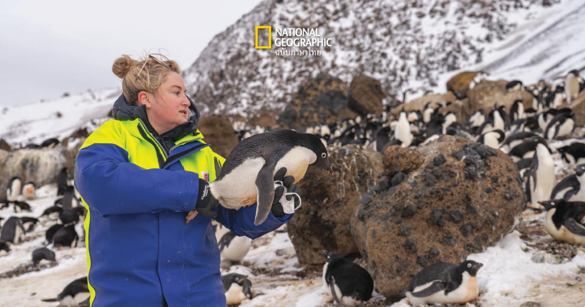 แกะรอยปัญหาไปจนสุดขอบโลก ภูมิอากาศเปลี่ยนแปลง เร่งการแพร่กระจายของจุลชีพได้อย่างไร?