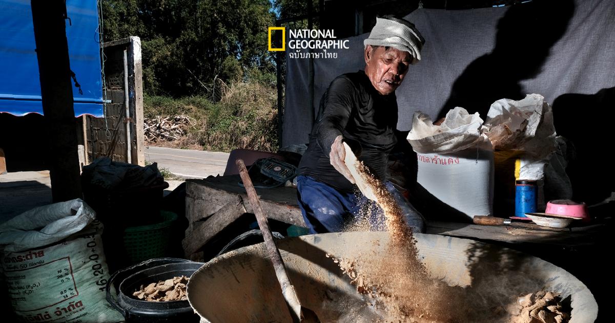 เล่าเรื่อง “เครื่องยาจากปลาร้า” ภูมิปัญญาล้ำค่าในตำราแพทย์แผนไทยและวิธีรักษาของหมอพื้นบ้าน