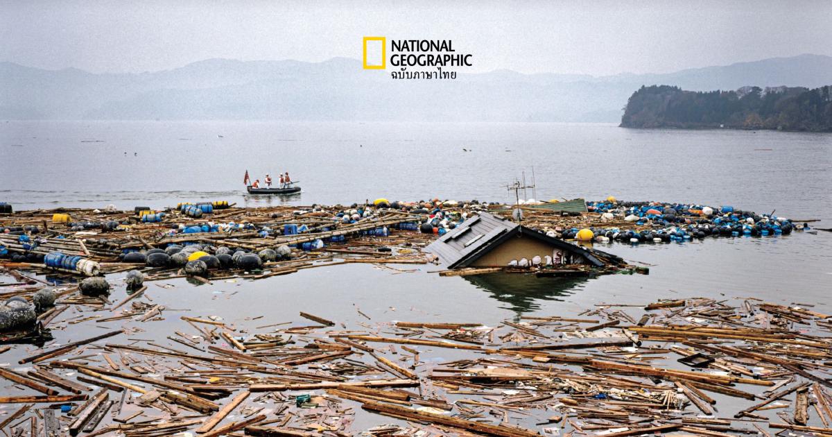 ถอดบทเรียนจากภัยพิบัติ : คุณเปลี่ยนวิกฤติให้เป็นโอกาสได้