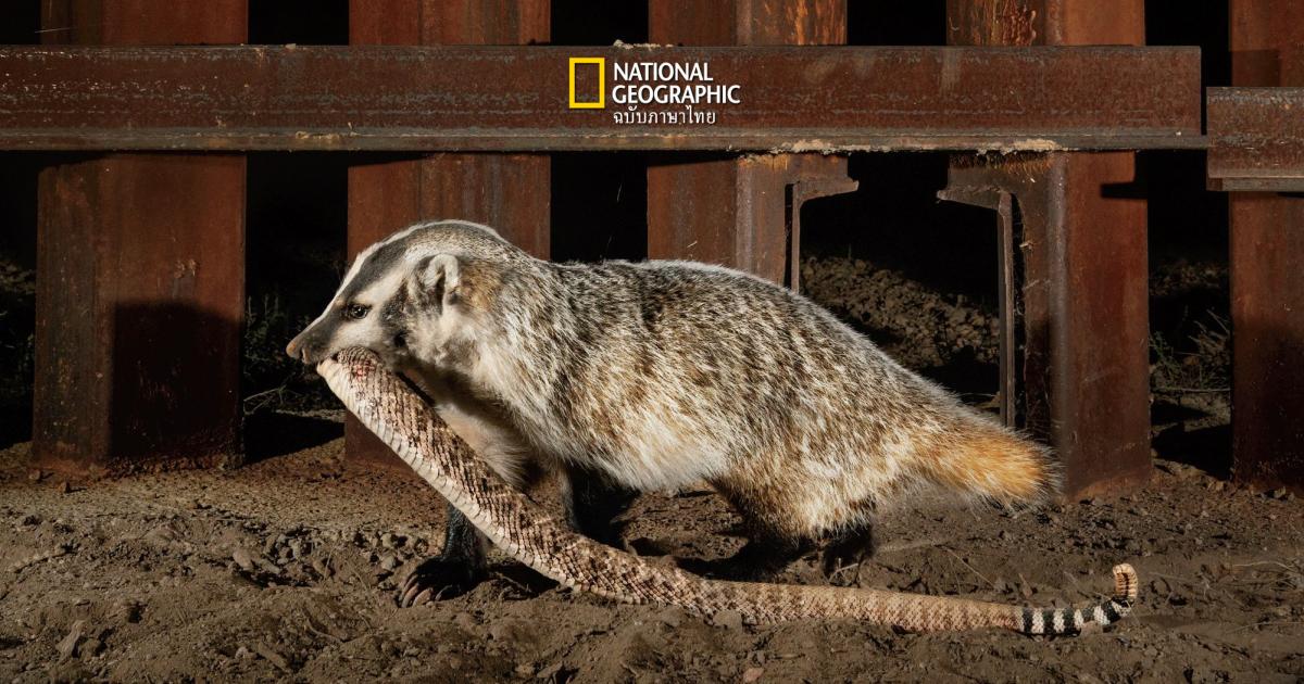 ภารกิจคืนธรรมชาติสู่สองพรมแดน