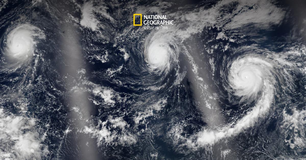 “ซูเปอร์เอลนีโญ” ส่งผลอย่างไรต่อโลกของเรา